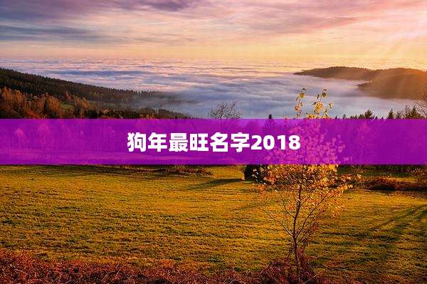 狗年最旺名字2018