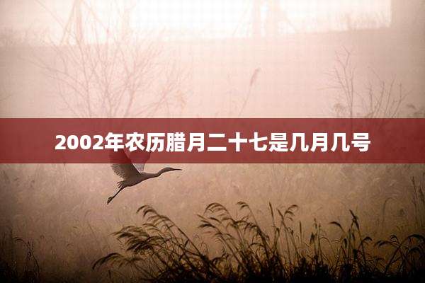 2002年农历腊月二十七是几月几号