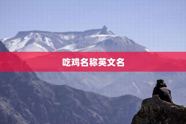 吃鸡名称英文名