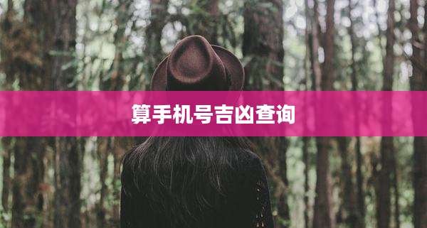 算手机号吉凶查询