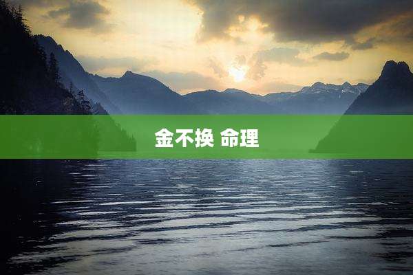 金不换 命理