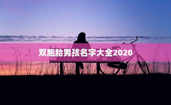 双胞胎男孩名字大全2020