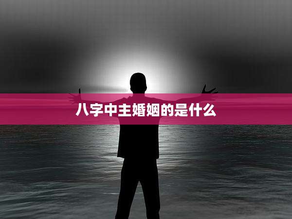 八字中主婚姻的是什么