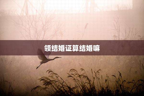 领结婚证算结婚嘛