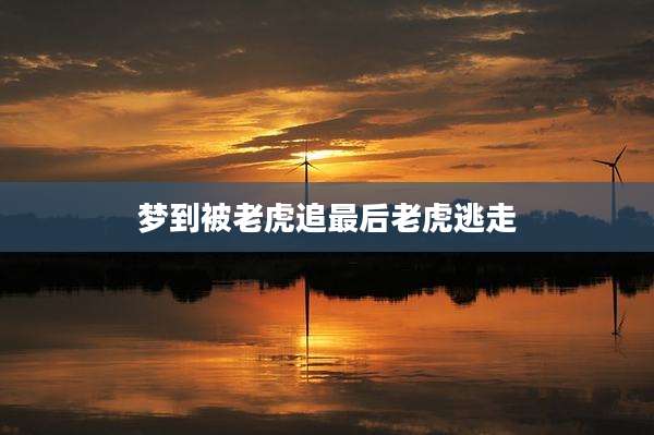 梦到被老虎追最后老虎逃走