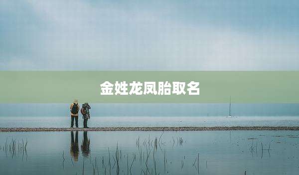 金姓龙凤胎取名