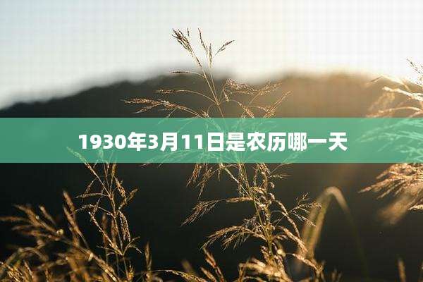 1930年3月11日是农历哪一天