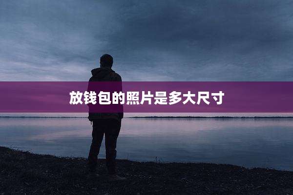 放钱包的照片是多大尺寸