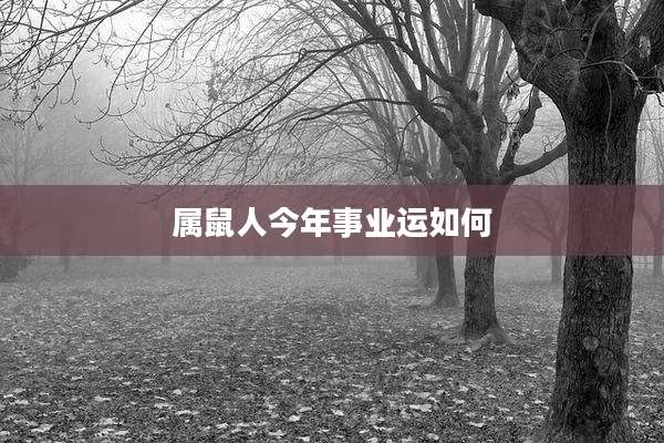 属鼠人今年事业运如何