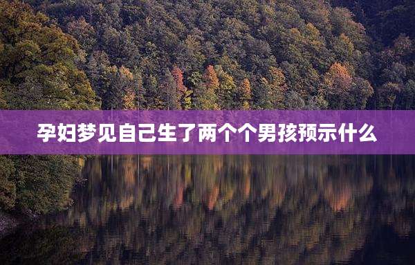 孕妇梦见自己生了两个个男孩预示什么