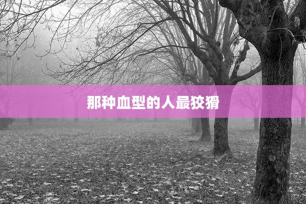 那种血型的人最狡猾