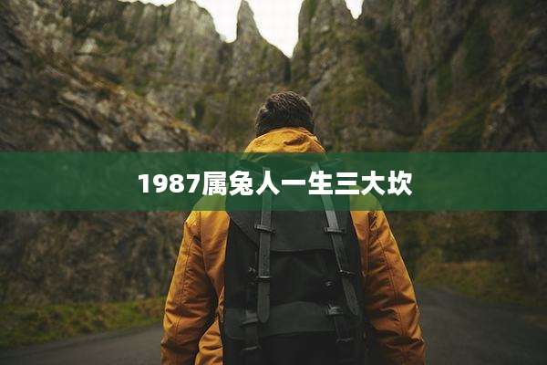 1987属兔人一生三大坎