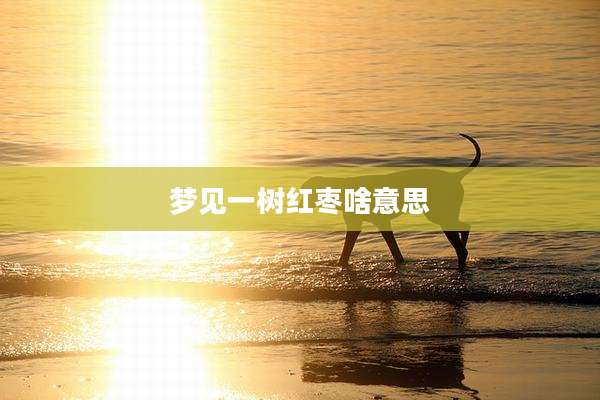 梦见一树红枣啥意思
