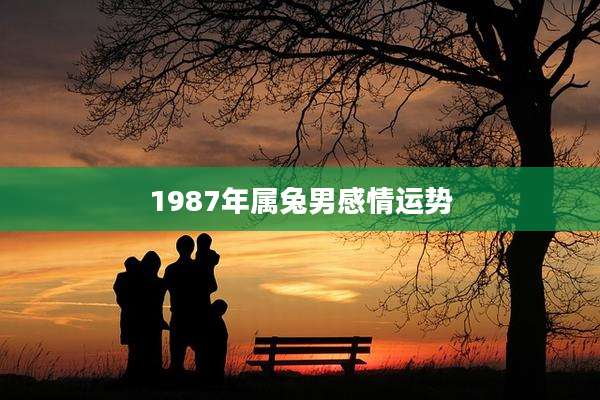 1987年属兔男感情运势