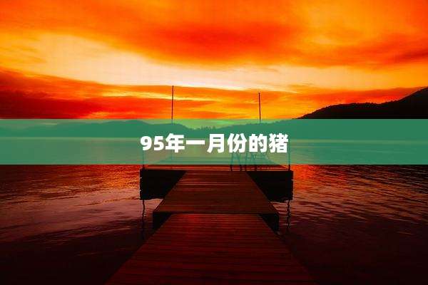 95年一月份的猪