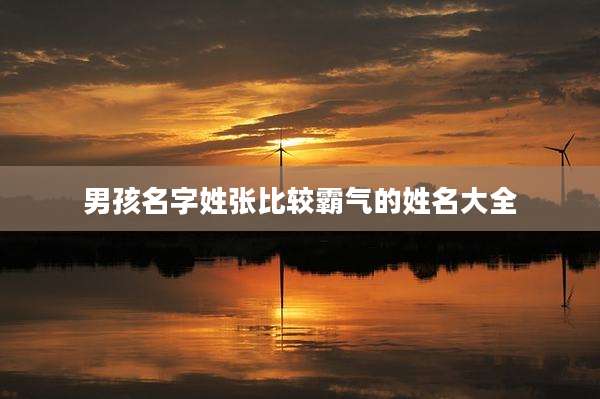 男孩名字姓张比较霸气的姓名大全