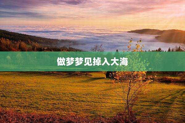 做梦梦见掉入大海