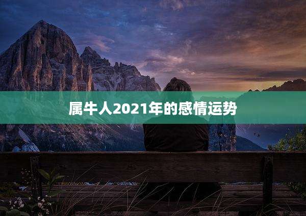 属牛人2021年的感情运势