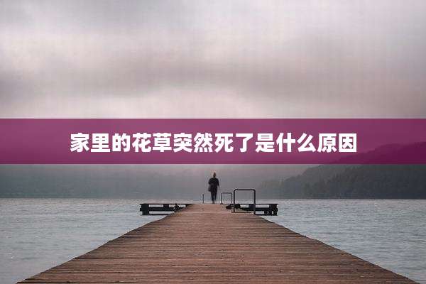 家里的花草突然死了是什么原因