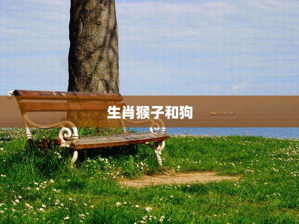 生肖猴子和狗