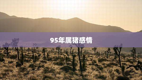 95年属猪感情