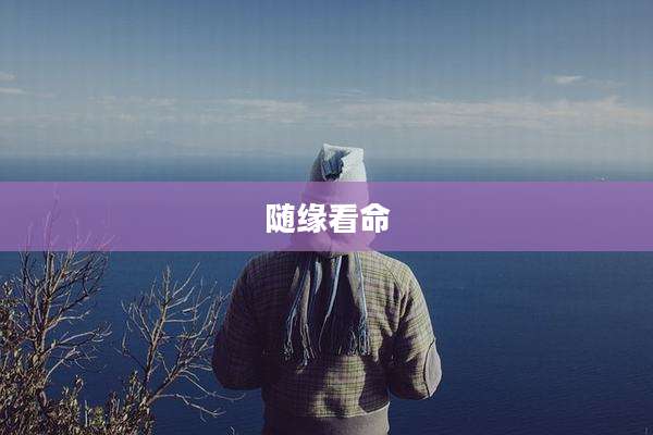随缘看命