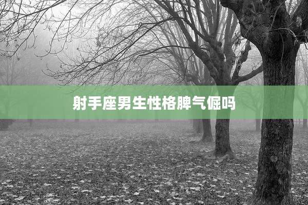 射手座男生性格脾气倔吗
