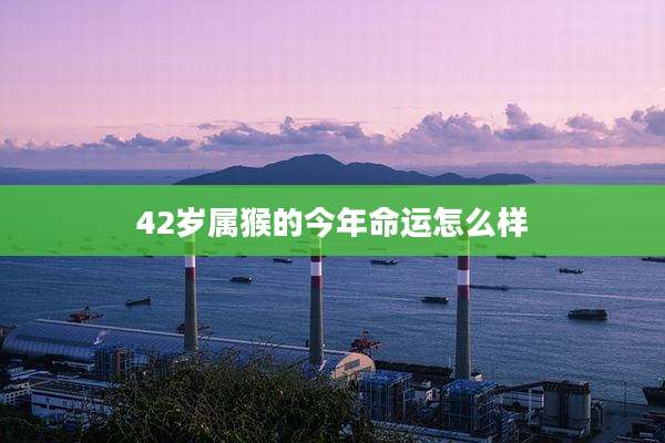 42岁属猴的今年命运怎么样
