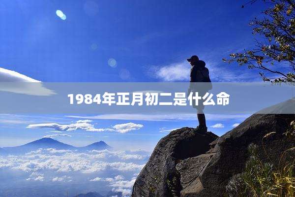 1984年正月初二是什么命