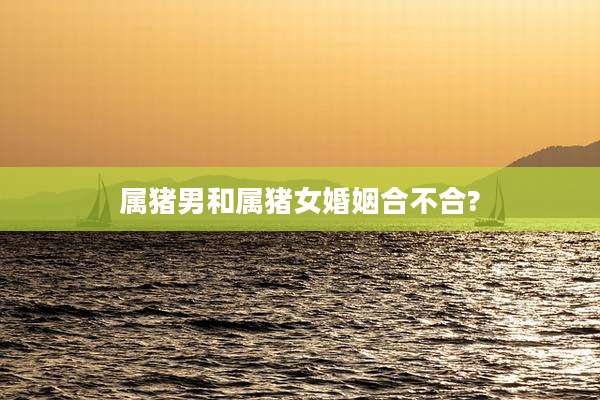 属猪男和属猪女婚姻合不合?