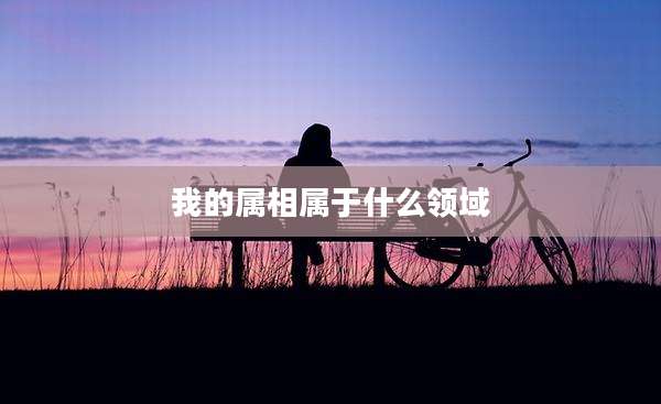 我的属相属于什么领域
