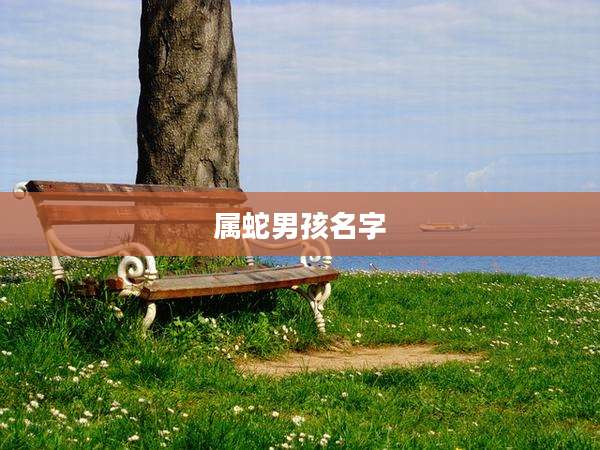 属蛇男孩名字