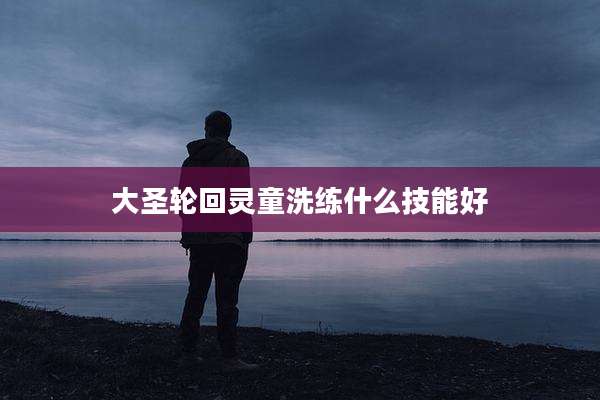 大圣轮回灵童洗练什么技能好