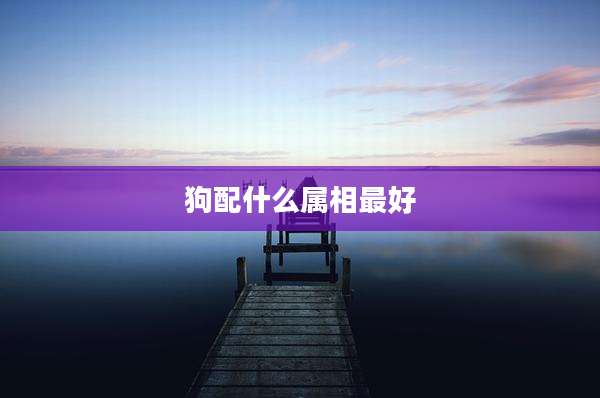 狗配什么属相最好