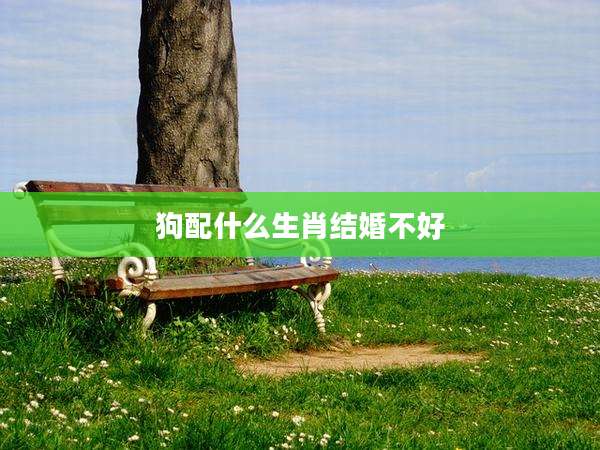 狗配什么生肖结婚不好