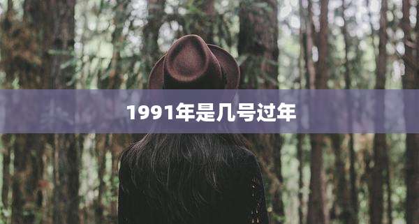 1991年是几号过年