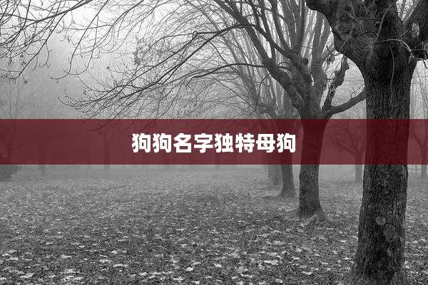 狗狗名字独特母狗