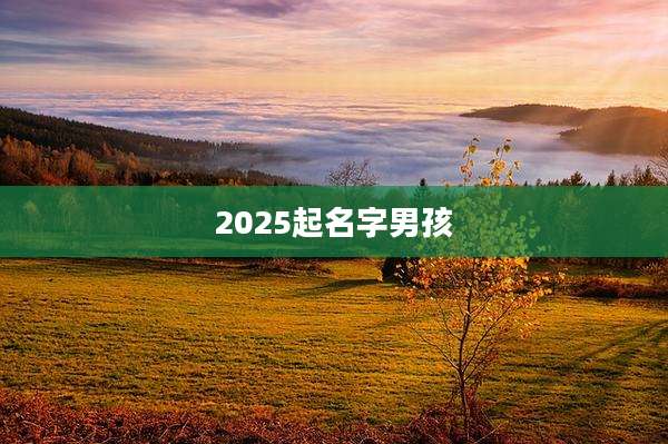 2025起名字男孩