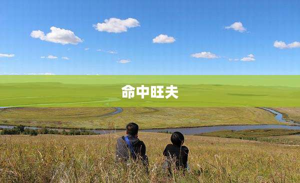 命中旺夫