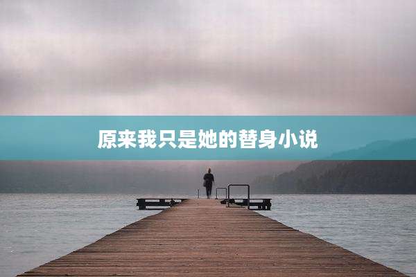 原来我只是她的替身小说