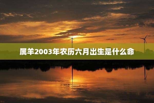 属羊2003年农历六月出生是什么命