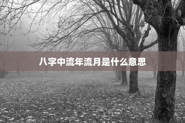 八字中流年流月是什么意思