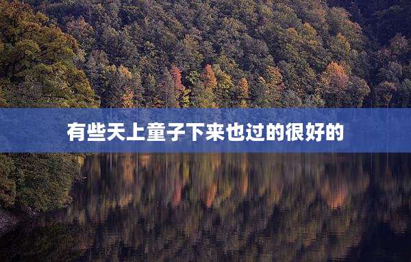 有些天上童子下来也过的很好的