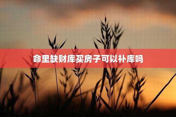 命里缺财库买房子可以补库吗