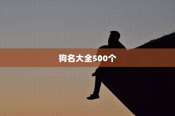 狗名大全500个