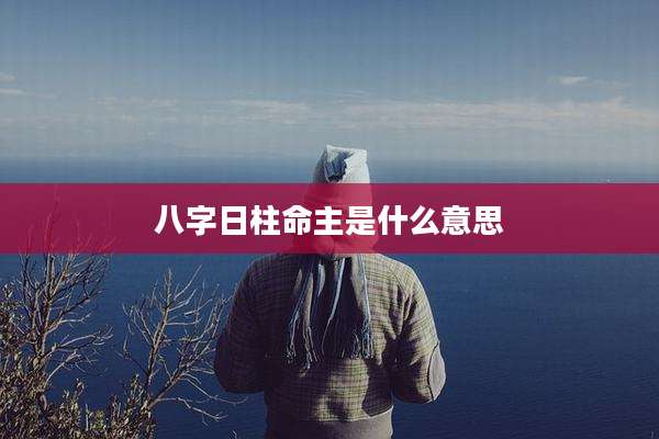 八字日柱命主是什么意思