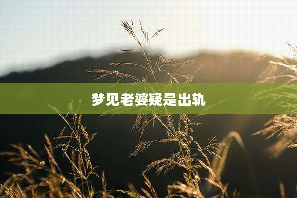 梦见老婆疑是出轨