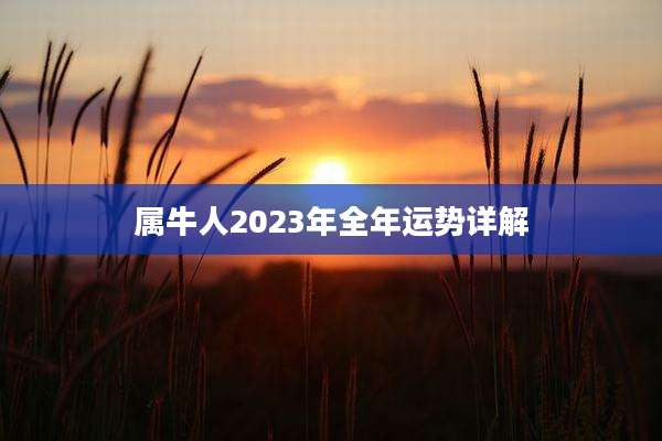 属牛人2023年全年运势详解