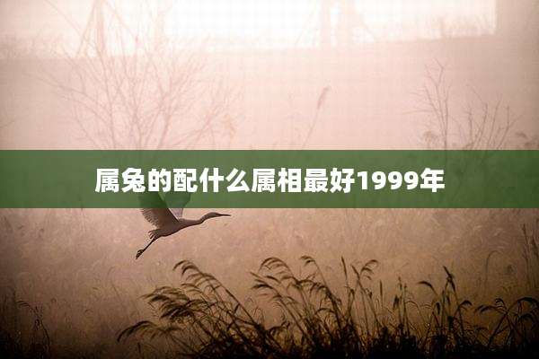 属兔的配什么属相最好1999年
