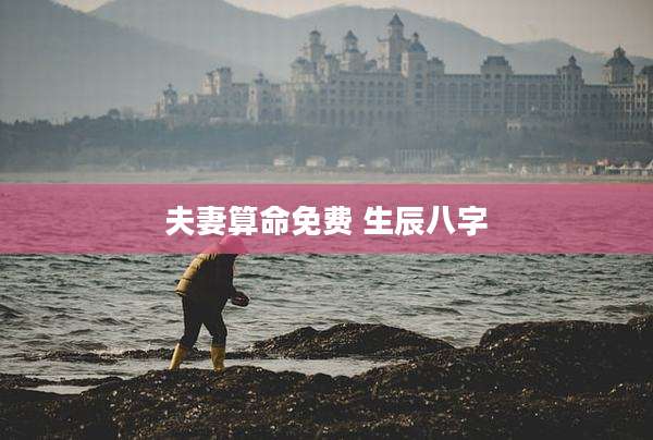 夫妻算命免费 生辰八字